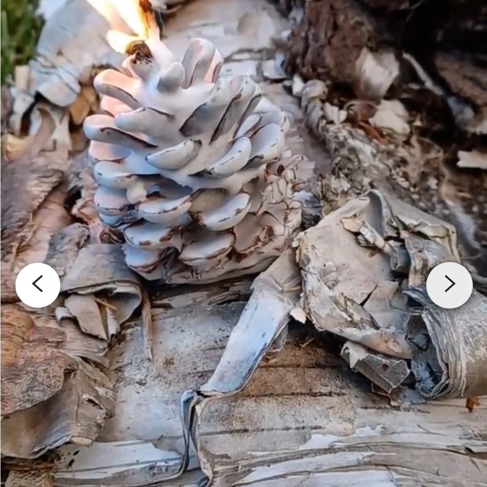 Fire starters wax dipped pinecones